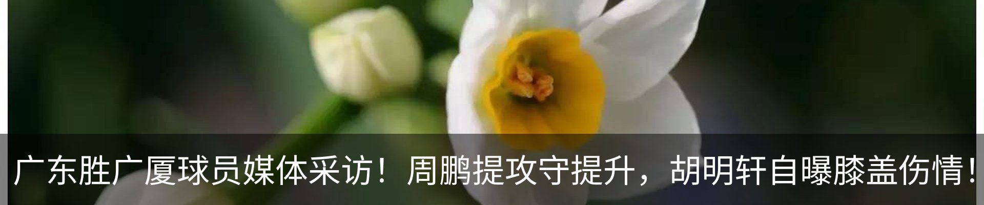 资讯中心