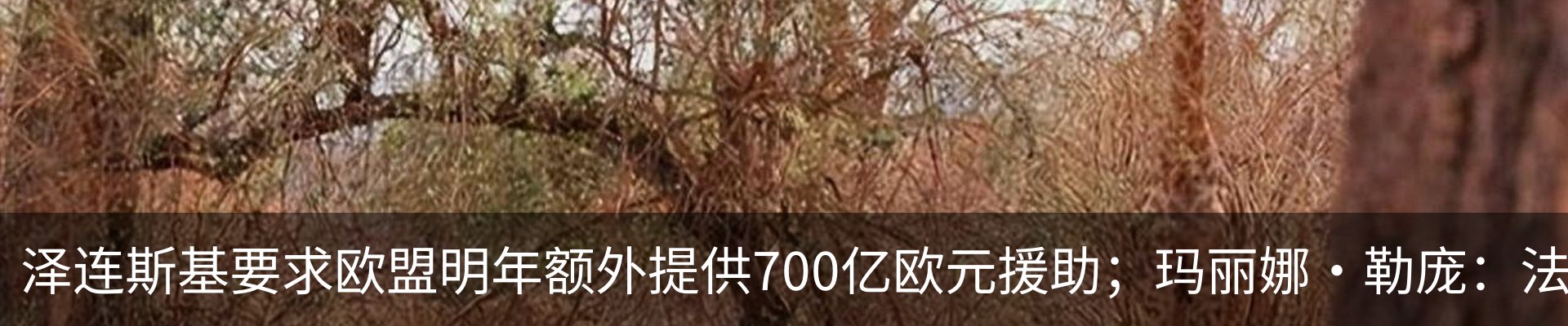资讯中心