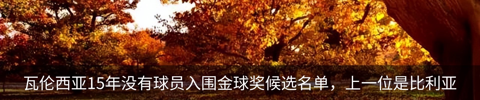 资讯中心