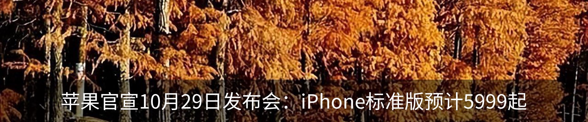 资讯中心