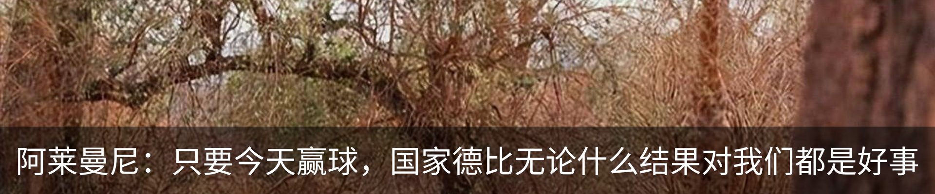资讯中心