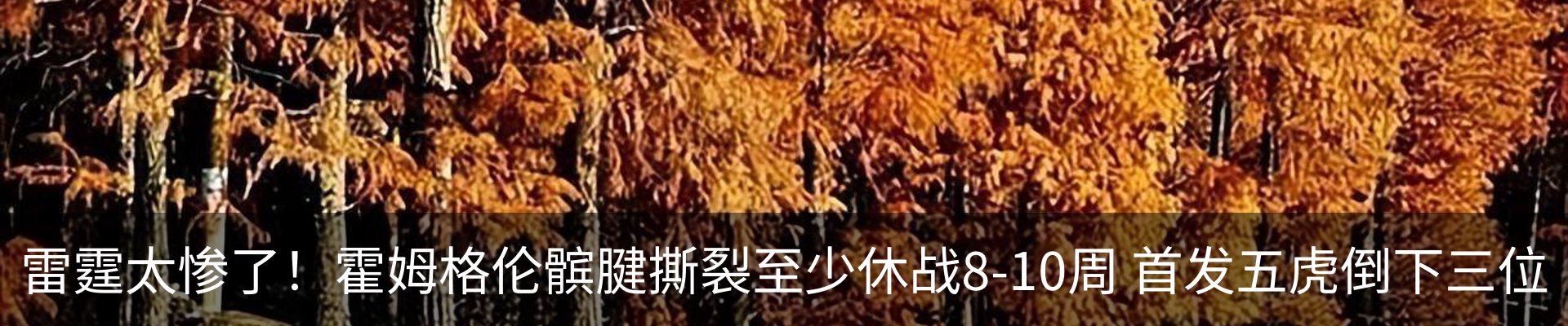 资讯中心